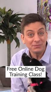 56 Dog barking ideas in 2025