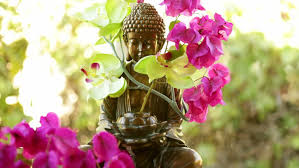 Maybe you would like to learn more about one of these? 8 Divine Flowers Which Are Favorites Of Hindu Gods
