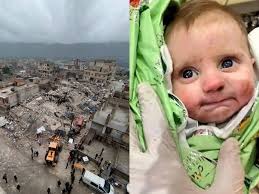 關鍵字：Life Without Limbs