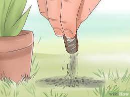 Check spelling or type a new query. 3 Ways To Prevent Cats From Pooping In The Garden Wikihow