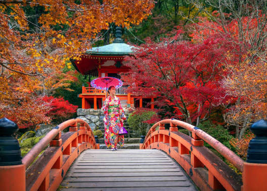 30 Best Places to Visit in Autumn in Japan for 2026, With Peak Times & Map | LIVE JAPAN travel guide