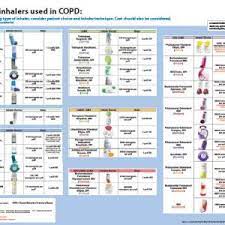 They all looked about the same. Asthma Devices Chart Brian