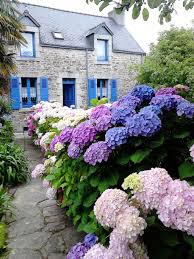Maison Vacances Pont Aven Location 5 Personnes Thierry Le Du Beautiful Gardens Garden Outdoor Gardens