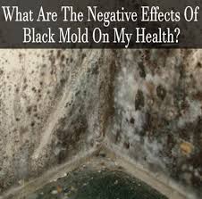 What Are The Negative Effects Of Black Mold On My Health Sick Building Syndrome Effects Of Black Mold Health