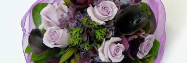 From the curls of his hair to the little mole just below his bottom lip. Pick Me Flowers Auckland Delivery Takapuna North Shore Florist