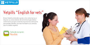Perro sonriente examen en la clínica veterinaria. Vetpills English For Vets Programa Completo Formacion Grupo Asis