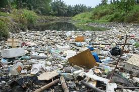 Factory farming is the second most significant source of contamination in wetlands and the third in lakes. Managing River Pollution Loads The Star