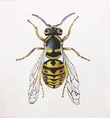 Yellow Jacket Wasp Painting Acrylic Beautifully Created With A Realistic Diagram Like Style Simple But Bold Painting Wasp Tattoo Yellow Jacket Wasp Wasp