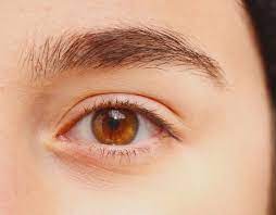 Wearing Contact Lenses Has Never Been Easier Or More Affordable Save On Your Contact Lenses With Our Value Pack Starting At Only Contact Lenses Lens Lenses