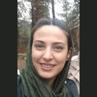 3200+ "Farhadi" profiles