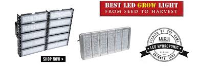 Buy hydroponic grow lights online at zenhydro. Best Led Grow Lights Uk Grow Lights Led Grow Lights