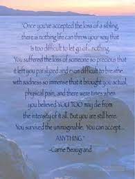 My little brother has had type 1 diabetes since he was a baby and i have spent time learning about the disease and trying to bring attention to it so that one day soon we will reach a cure. 110 My Brother Tony Ideas Grief Quotes Quotes Brother Quotes