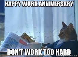 Happy work anniversary memes & images 1. Anniversary Cat Meme 10lilian