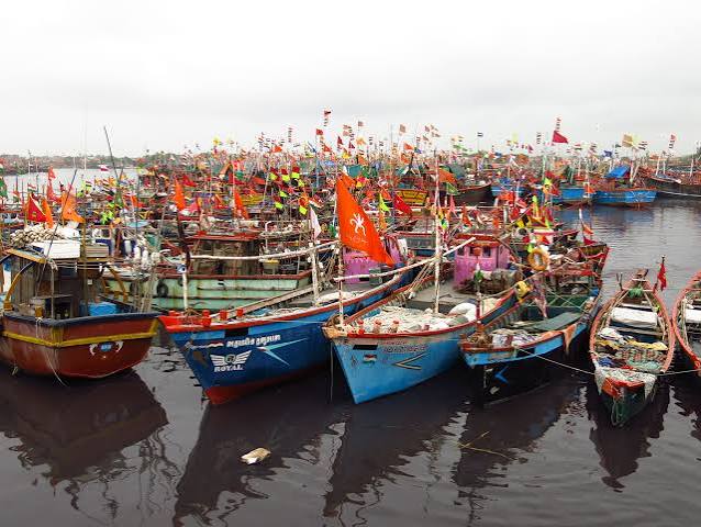 Fishing India's north‐western coast - Save Our Seas Foundation