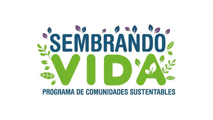 Gobierno de México