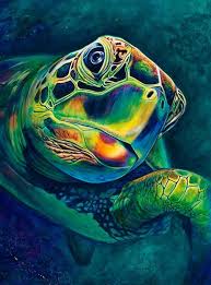 11 X 14 Print On Card Stock Signed By The Artist Sea Turtle Art Nature Art Prints Turtle Art