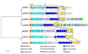 This backbone network diagram sample is created using conceptdraw diagram diagramming and vector drawing software enhanced with computer & networks solution from conceptdraw solution park. Schematic Diagram Of Backbone Structures Of Our Four And Three Most Download Scientific Diagram
