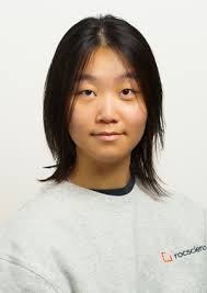 Engineering Internships with Rocscience