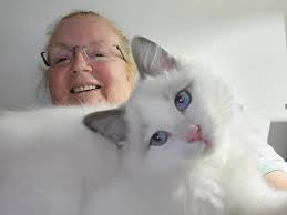 Happy Sunday ! www.tybeeflowerragdolls.com