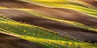 Tento projekt realizující příměstské tábory pro děti reaguje na úzkou nabídku aktivit na venkově v době letních prázdnin. To The Magic Landscape Of Moravian Tuscany South Moravia