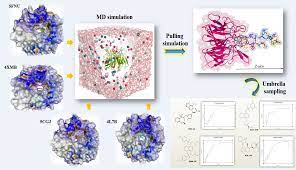 Molecules Free Full Text Investigation Of Molecular Details Of Keap1 Nrf2 Inhibitors Using Molecular Dynamics And Umbrella Sampling Techniques