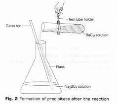 Different Types Of Reactions Experiment - Cbse Class 10 Science Practicals