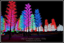 #tiny lights #digital oil painting #david tennant #billie piper #city of tiny lights #doctor who #combining different pipers and tennants #here's shelley from. I City City Of Digital Lights Mapio Net