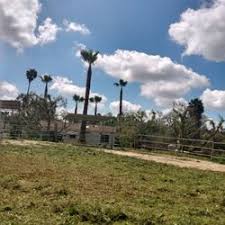 Tree service san diego has a record of great prices and customer service. Top 10 Best Free Firewood Near Point Loma San Diego Ca Last Updated October 2020 Yelp