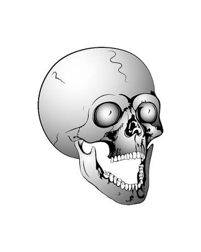 Screaming skull #2 by Michal Boubin