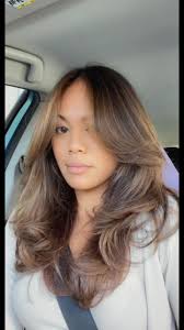 Blonde to Brunette Transformation