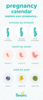 Pin On Pregnancy Corner