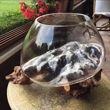 Agac Dizayn Adli Kullanicinin Cam Fanus Akvaryum Terrarium Panosundaki Pin Terrarium Akvaryum