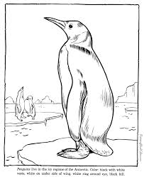 Penquin Coloring Pages Zoo Animals Zoo Animal Coloring Pages Penguin Coloring Pages Animal Coloring Pages