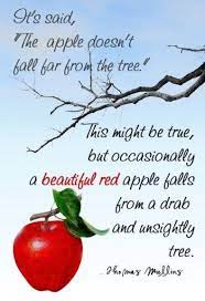 We did not find results for: A Beautiful Red Apple Red Apple Apple Beautiful