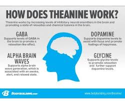Smart cream coconut creamer natural nootropic: Mootropics Mootropic Twitter