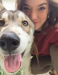 Hound dog dumped near highway exit 341