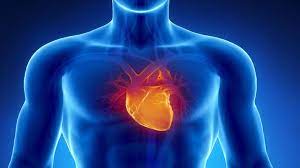 We did not find results for: Disangka Angin Duduk Ternyata Gejala Serangan Jantung Health Liputan6 Com