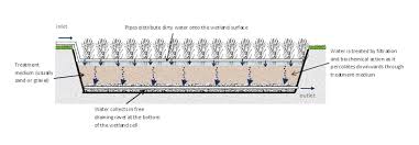 Photo by will parson/chesapeake bay program. Treatment Wetlands Design Wetland Engineering
