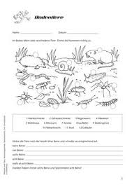 Grundschule tierspuren rätsel arbeitsblatt / arbeitsblatt rätsel zum thema temperatur und thermometer. 29 Wildtiere Ideen Wilde Tiere Tiere Lernen