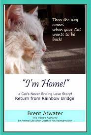The bridge (pet loss comfort). Pet Loss Cat Pl 1 Sympathy Cards Greeting Cards Lifepharmafze Com