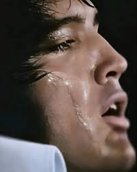 You only pass through this life once, you don't come back for an encore.”  —Elvis Presley