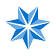 Cherokee Federal logo