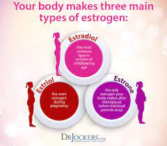 12 Tips To Balance Estrogen Levels Naturally - Drjockers.com