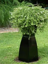 Bird Bath Well Cover Ideas Pin On New House Ideas