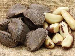 Check spelling or type a new query. What Are Brazil Nuts Information And Tips On Growing Brazil Nuts