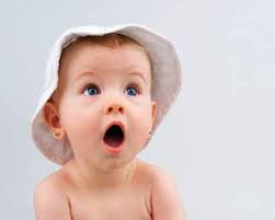 Observer, the Alumni Magazine of the State University of New York at New  Paltz Spring 2011