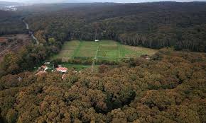 Which is why belgrade forest (belgat ormanı) is such a pleasure. Turkey Widens Khashoggi Search Denies Giving Us Tapes Meo