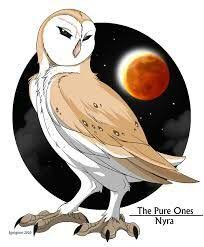 The series contains a total of 16 books and although originally intended to conclude with the 2008 publication of the war of the ember, a prequel the rise of a legend was published in 2013. Pin On Stuff That Is Random And Cool