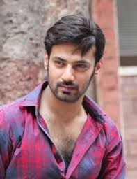 Pakistani cricket biography, 1960s birth stubs