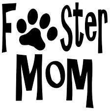 Pin On Pets